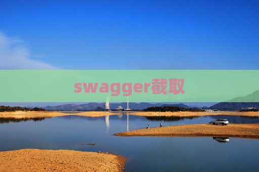 swagger截取